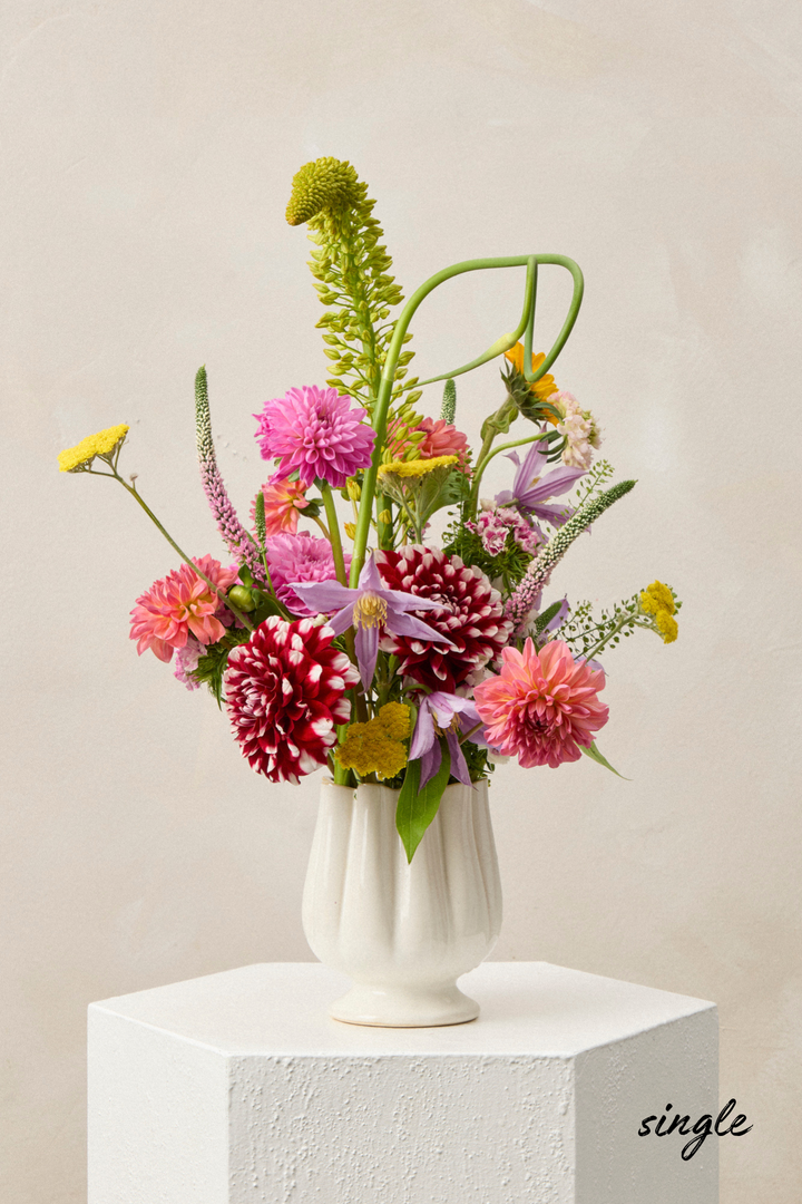 Fresh Arrangement