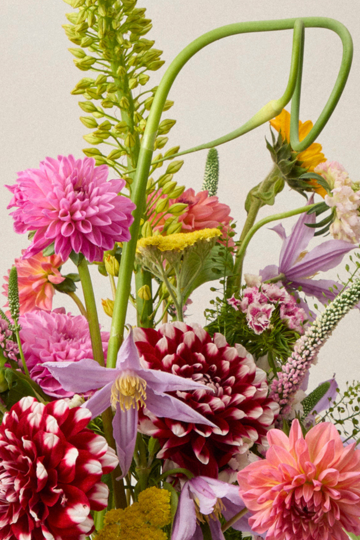 Fresh Arrangement